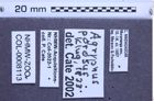 Etiketten zu Agrypnus porosus (NHMW-ZOO-COL-0008113)